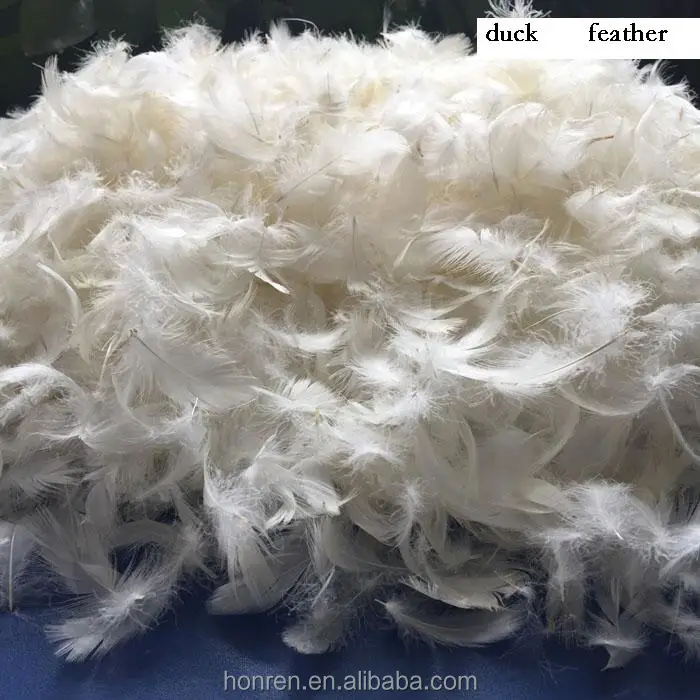 Washed 2 4 White Duck Feather 6cm Feather Buy Washed White Duck