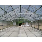 Singlespan Aluminium Frame Glass Garden Greenhouse