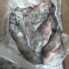 Hot Sale Fish Tilapia 200-300g sea bream