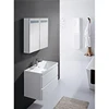 /product-detail/modern-elegance-bathroom-buy-bathroom-cabinets-toilet-mirror-cabinet-bathroom-vanity-with-sinks-60458652639.html