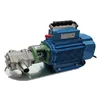 /product-detail/kcb-electric-fuel-transfer-pump-cast-iron-gear-pump-for-oil-skype-luhengmiss-60498996937.html