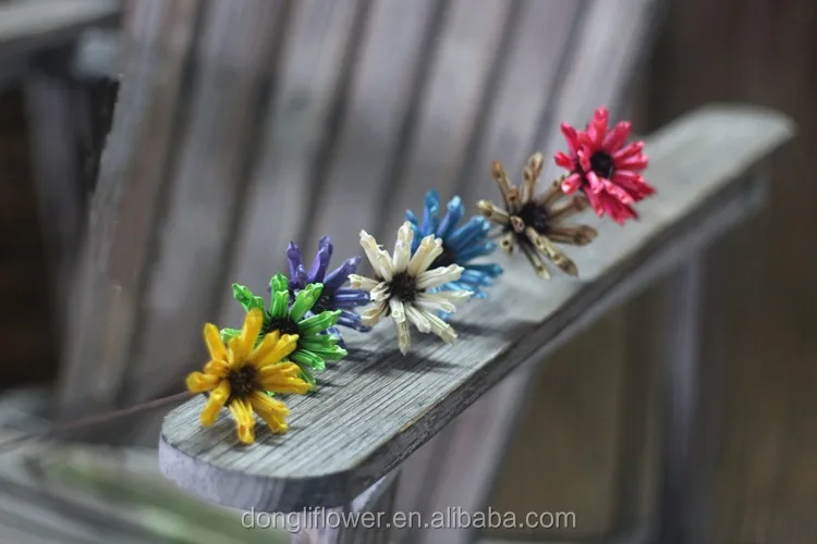 j6103 also called: dried daisy flowers, dried flowers, preserved