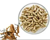 GMP factory supply wholesale cordyceps mushroom extract/ cordyceps mushroom powder/capsule