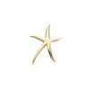 Big Stainless Steel Gold Plated Dancing Starfish Brooch For Women Wholesale