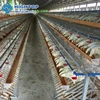 /product-detail/hot-selling-one-old-day-broiler-chicks-rearing-cage-with-ce-certificate-60511159396.html