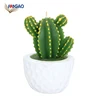 China suppliers cute handmade delicate succulent cactus decorative candles for sale