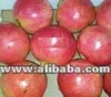 /product-detail/hedcaz-sour-pomegranate-135173450.html