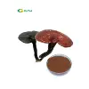 /product-detail/ganoderma-extract-weight-loss-reishi-shell-broken-spore-powder-ganoderma-lucidum-spore-powder-60724995744.html