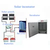 /product-detail/ssd-1056pcs-solar-automatic-chicken-egg-incubator-60673169309.html