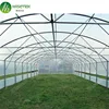 Hot sale used high tunnel green house for commercial agriculture
