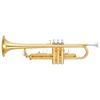 Practice Cheap Chinese Manufacturer Trumpet Brands