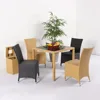 Hot Sell Outdoor Furniture Rattan/Wicker Cheap Garden Patio Table and Chair TF-6103