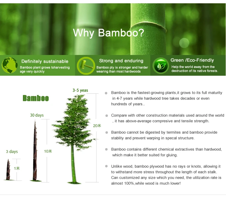 why bamboo veneer