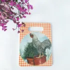 Customized personalized rectangle ceramic cutting chopping board kitchen