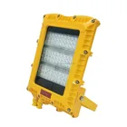 Professional manufacturer LED Explosion Proof light 100W