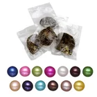 wholesale oyster pearl 6-7mm round akoya single pearls in akoya oyster