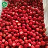 /product-detail/china-quick-freezing-frozen-fruit-iqf-strawberry-60671584050.html