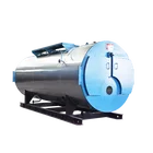 Industrial WNS Oil Gas Fired Central Heating Hot Water Boiler Heater