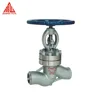 /product-detail/high-pressure-butt-welding-globe-valve-60827817591.html