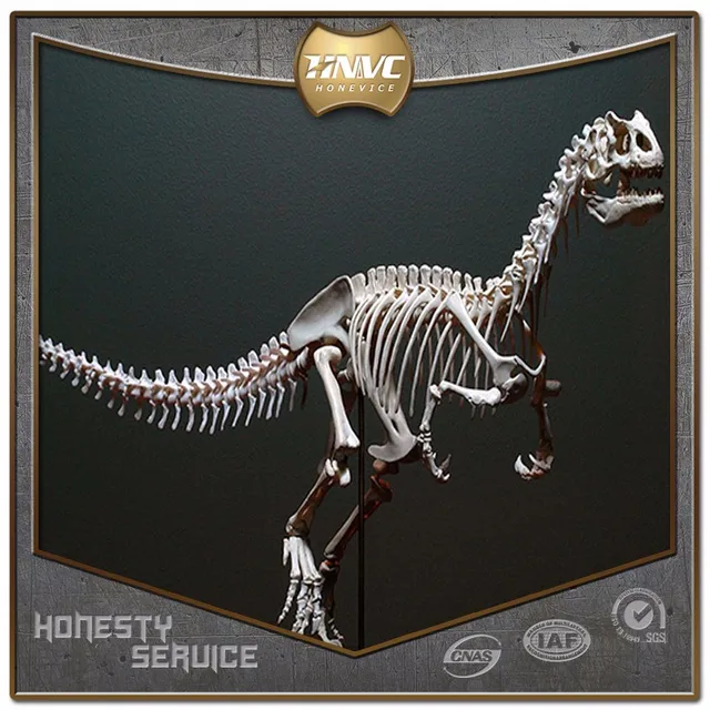 skeleton model dinosaur