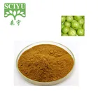 Amla 100% Natural 10:1 20:1 Amla Phyllanthus Emblica Extract Powder