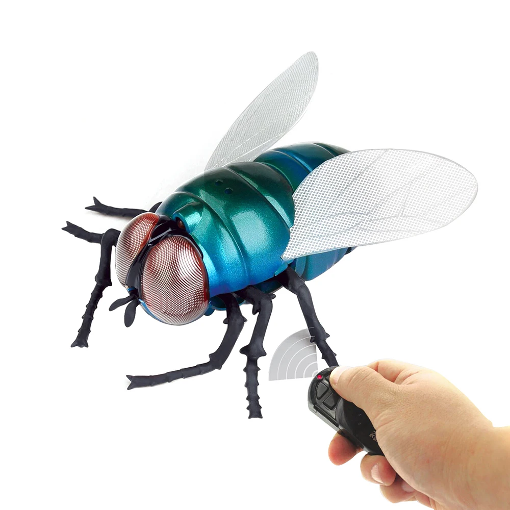 rc insect
