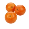 Fresh best price navel orange