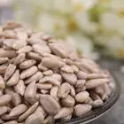 Bulk Factory Direct Helianthus Annuus Sunflower Seeds For Bird Feed