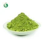 Bulk powdered premium organic matcha tea