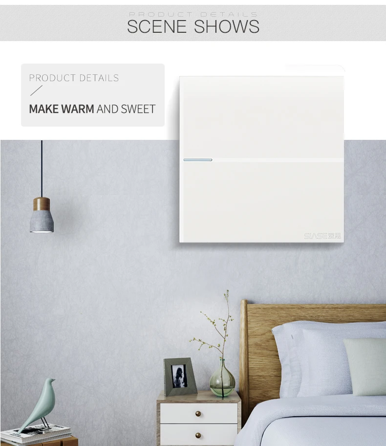 OEM Home Mounted 10A 250V Power electrical wall 1 gang 1 way switch