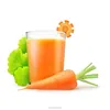 Semi-auto carrot juice machine with low price