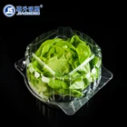 Hot sale recyalable clear plastic lettuce packaging box