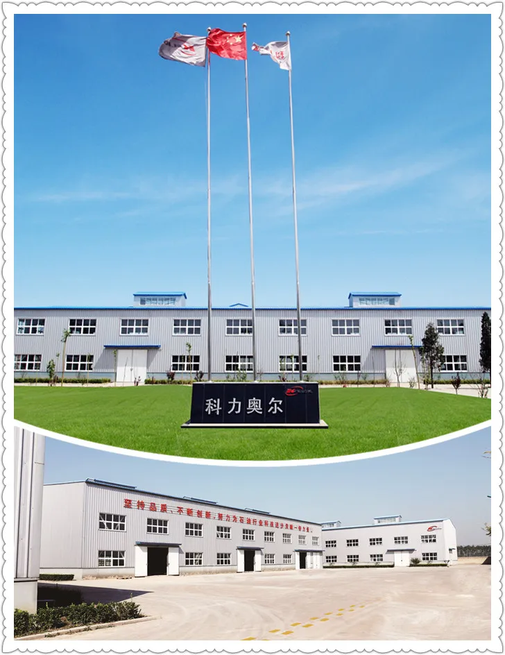 CHINESE SUPPLIER OF CHEMICALS POLYMER FLUID LOSS CG510S-D