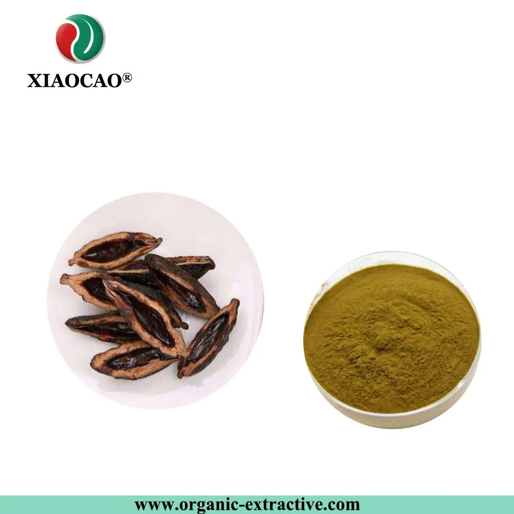 supply betel nut extract/betel nut price/betel nut thailand