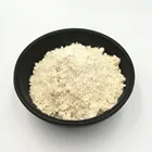 Seasoning Essence Dried Chicken Bouillon Powder Halal Factory Price