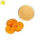 Food Fruit Powder Pumpkin Fruit Juice Powder