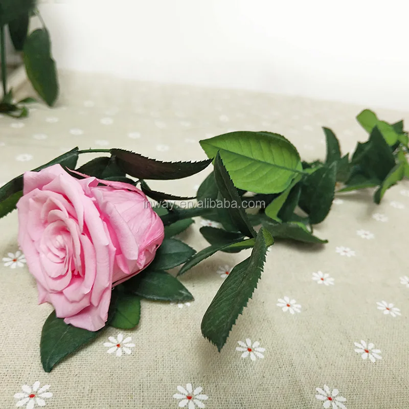 2, the preserved fresh flower is different from dried flowers