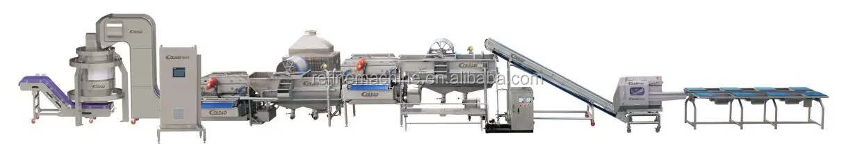 salad washing line.jpg