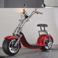 Sunnytimes 2017 City Coco Scooter 1500W