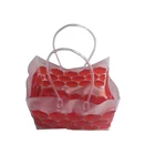 PVC Plastic Wine Bottle Ice Cooler Chiller Bag