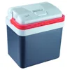 mini car fridge refrigerator thermoelectric cooler warmer box DC 12V for travel 24L ErP class A