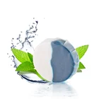 Automatic natural Bleach and Blue Toilet bowl cleaner tablet