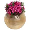 Modern Round Metallic Gold Tone Ridged Ceramic Plant Flower Planter Pot Vase