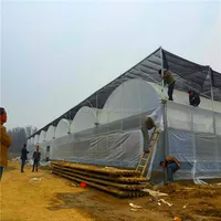 SinoGreen Weather Resistance Muti Span Tunnel