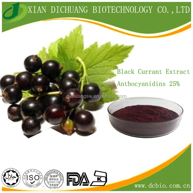 best selling natural blackcurrant powder/blackcurrant