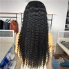 Transparent lace Human Hair wigs Brazilian Virgin Hair Wet curly Full Lace Wigs for Black Women with Baby Hair Free part