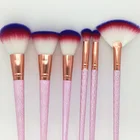 Professional 6Pcs Plastic Handle Makeup Brush Set