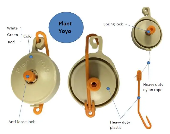 plant yoyo.jpg
