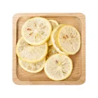 Best quality dry fruits freeze dried lemon fruit manufacturers