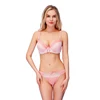 Free Sample Woman Underwear Sets Panties And Lace Panty Bras Suits